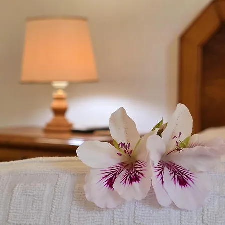 Дом отдыха Alprochinhos Поршеш