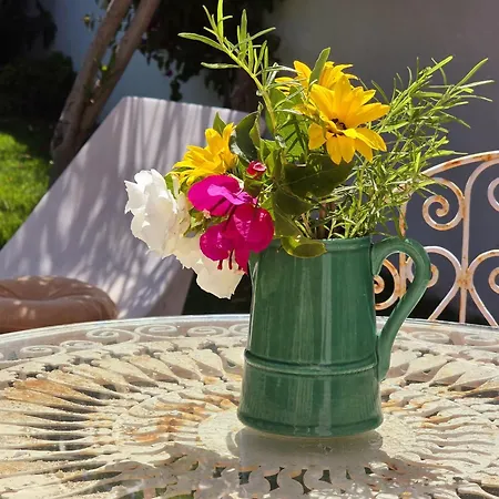 Alprochinhos Поршеш