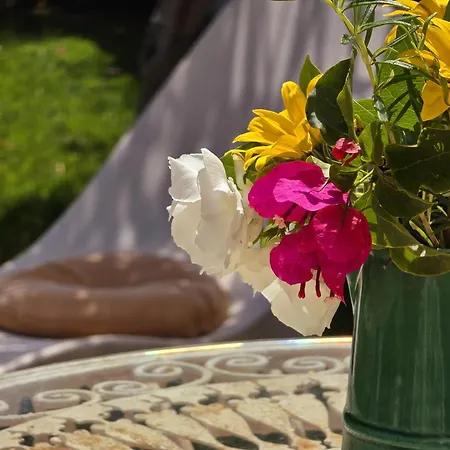 Alprochinhos Поршеш