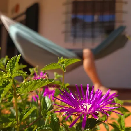 Alprochinhos Дом отдыха *