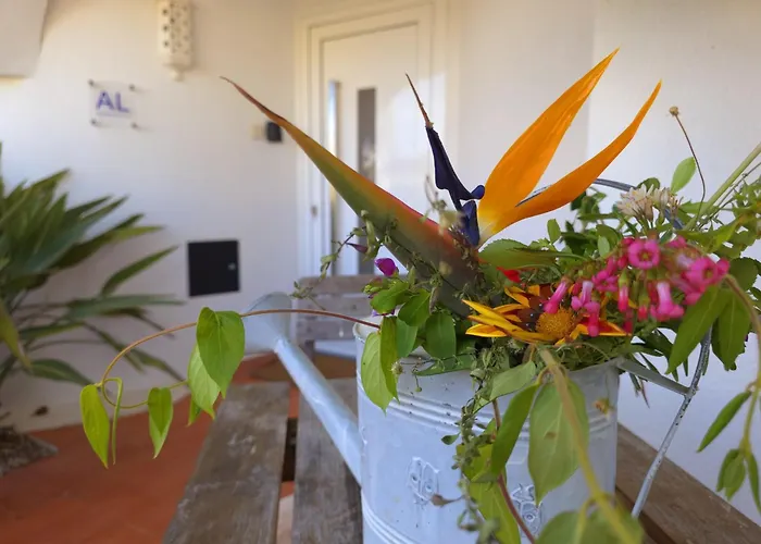 Ferienhaus Alprochinhos