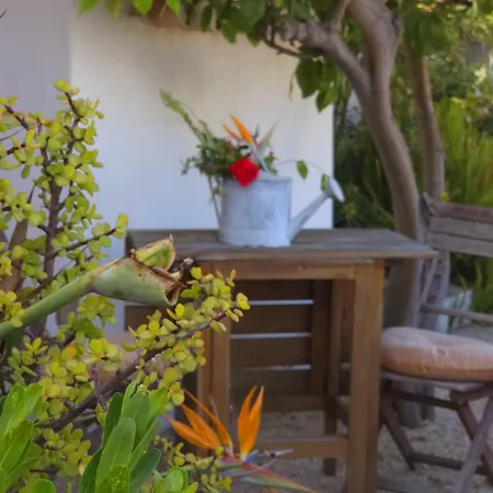 Alprochinhos Porches (Algarve)