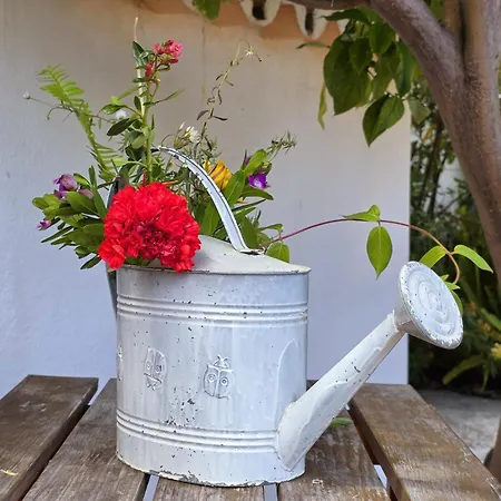 Alprochinhos Holiday home
