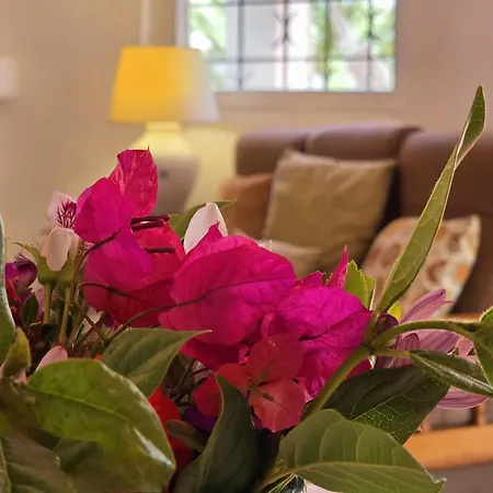Alprochinhos Holiday home