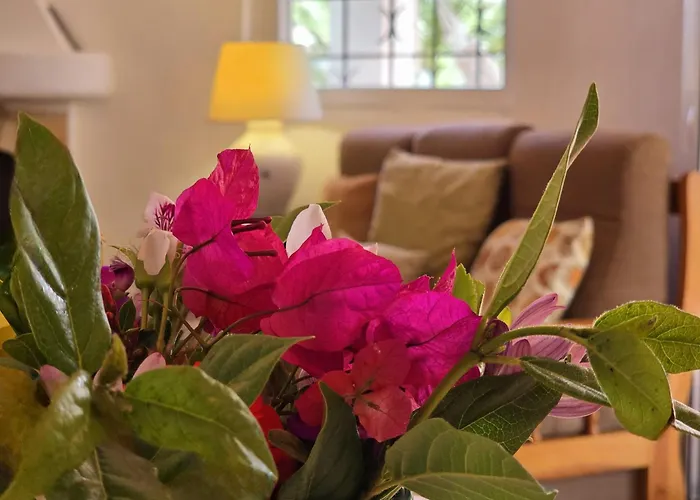 Alprochinhos Nyaraló