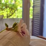 Alprochinhos
